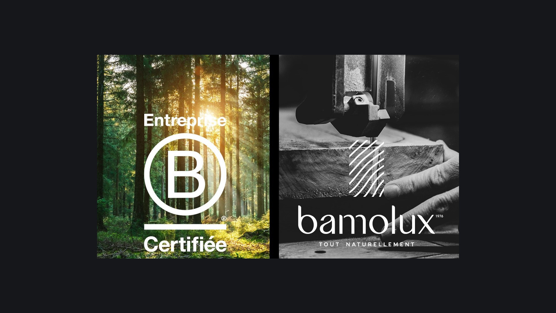 Bamolux Certified B Corporation™